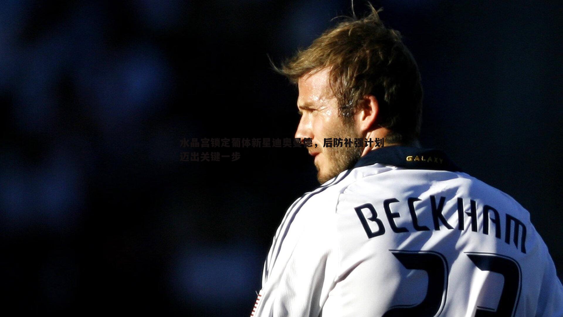 乐天堂fun90-水晶宫锁定葡体新星迪奥曼德，后防补强计划迈出关键一步