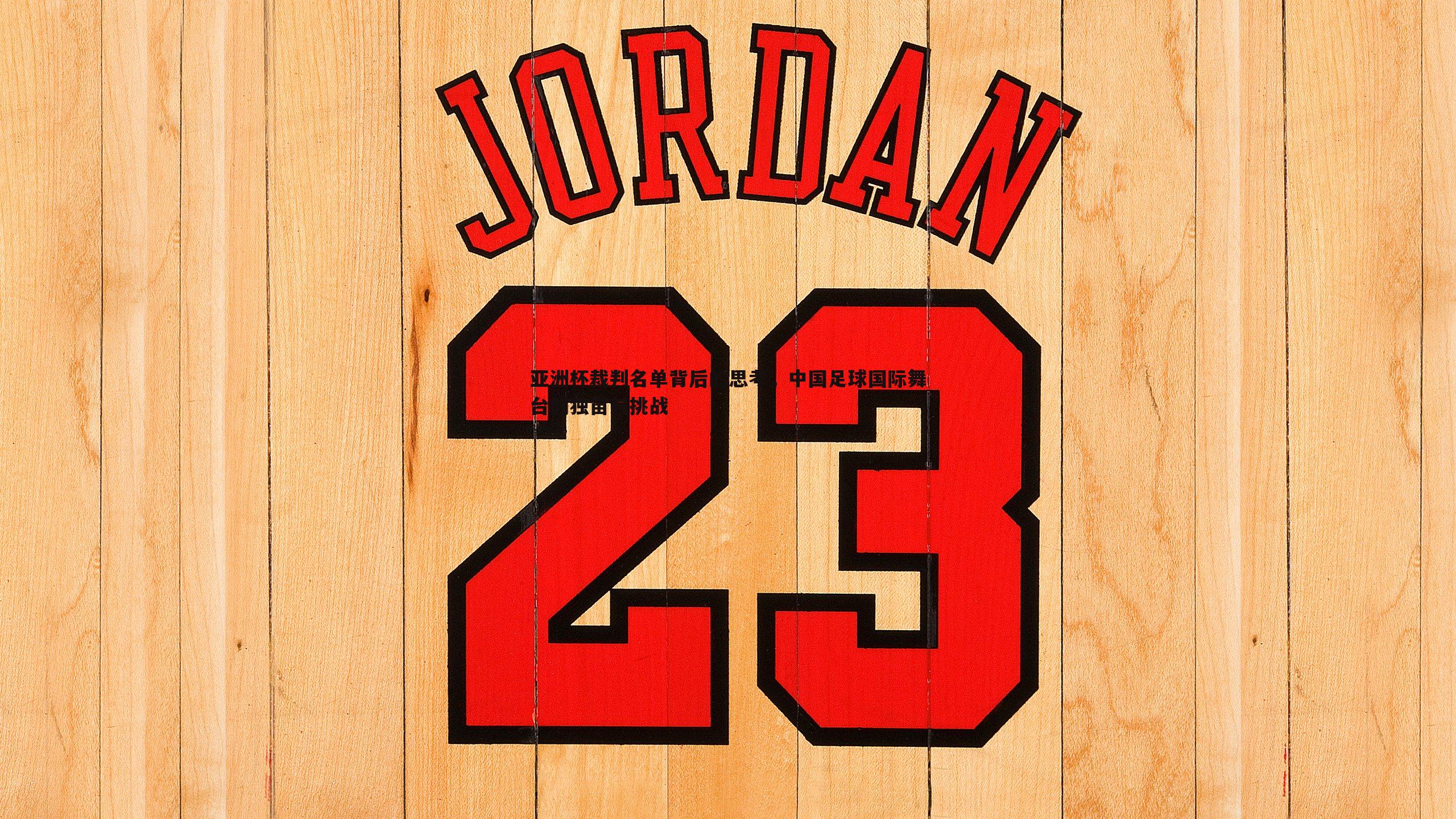 亚洲杯裁判名单背后的思考,中国足球国际舞台的独苗与挑战